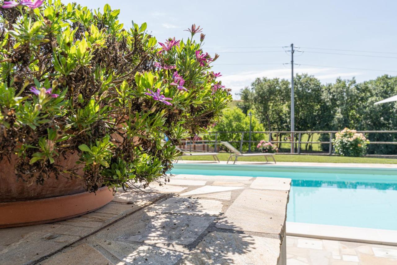 Montenovo Country House Ostra Vetere المظهر الخارجي الصورة