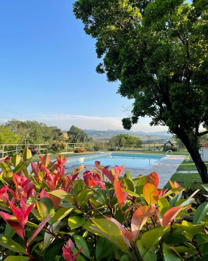 Montenovo Country House Ostra Vetere المظهر الخارجي الصورة