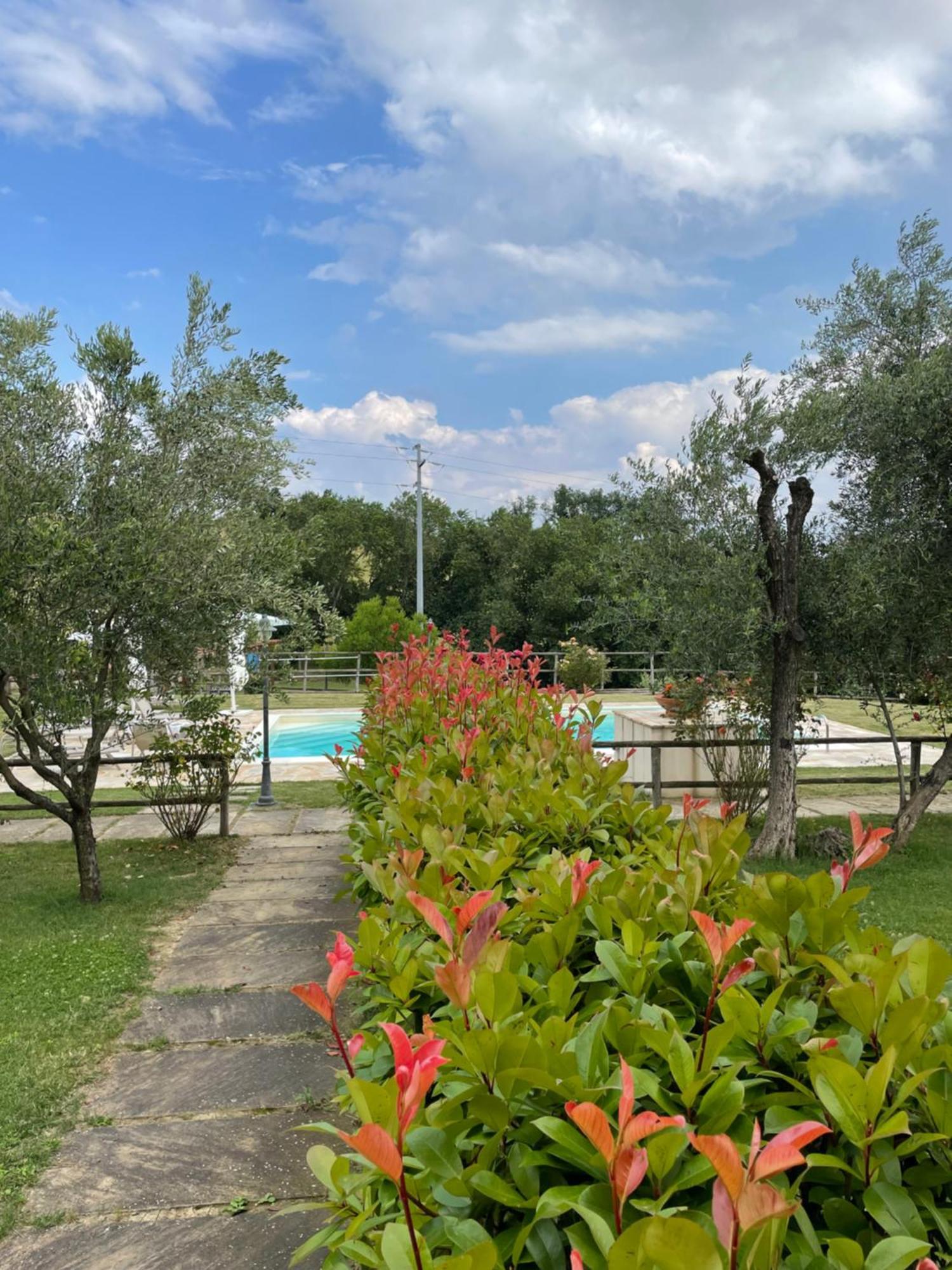 Montenovo Country House Ostra Vetere المظهر الخارجي الصورة