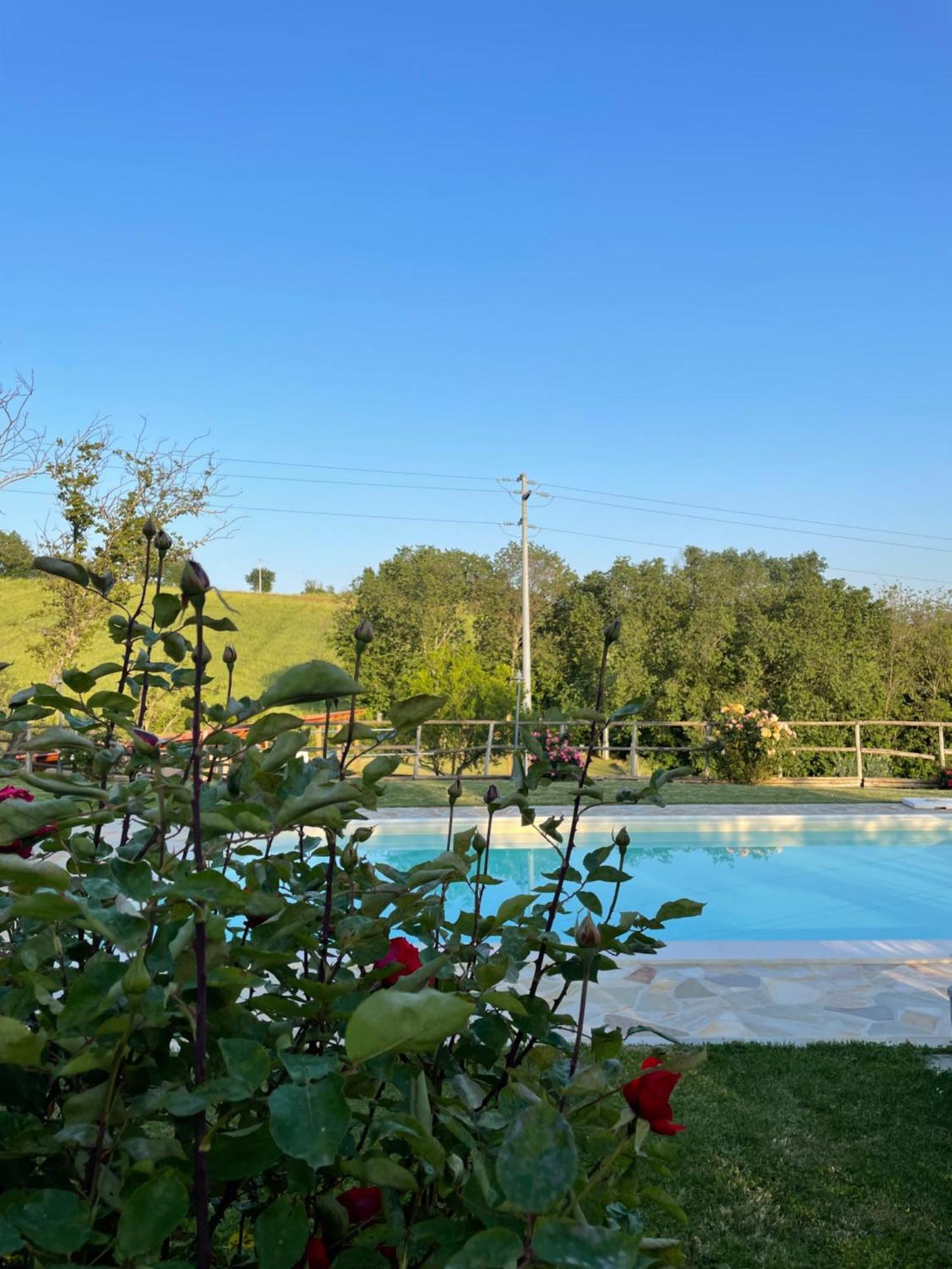 Montenovo Country House Ostra Vetere المظهر الخارجي الصورة