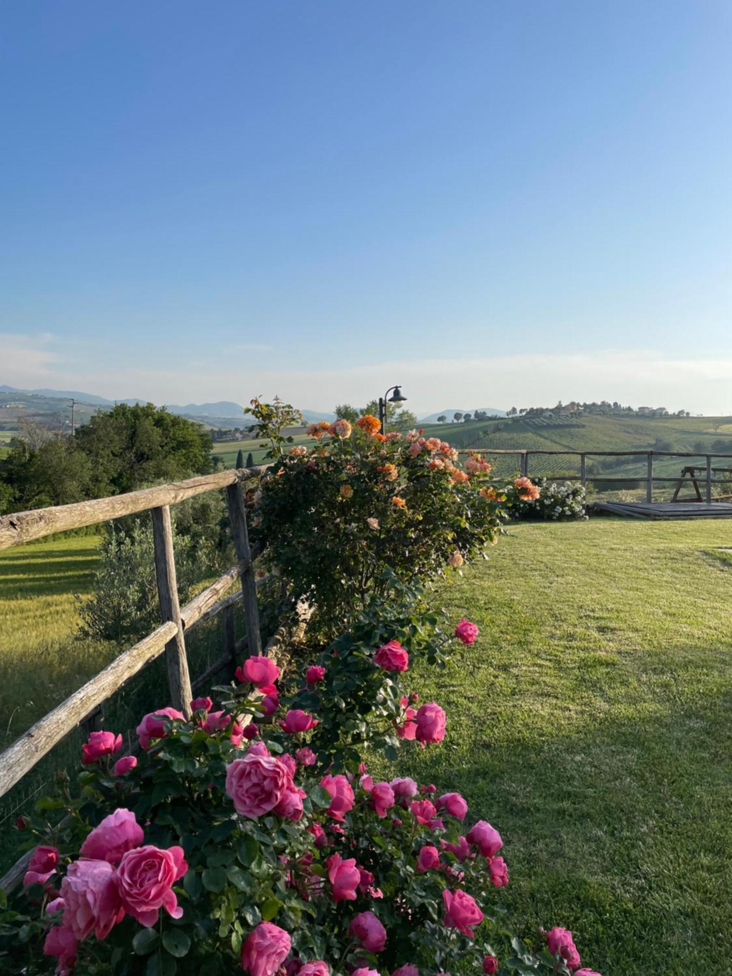Montenovo Country House Ostra Vetere المظهر الخارجي الصورة