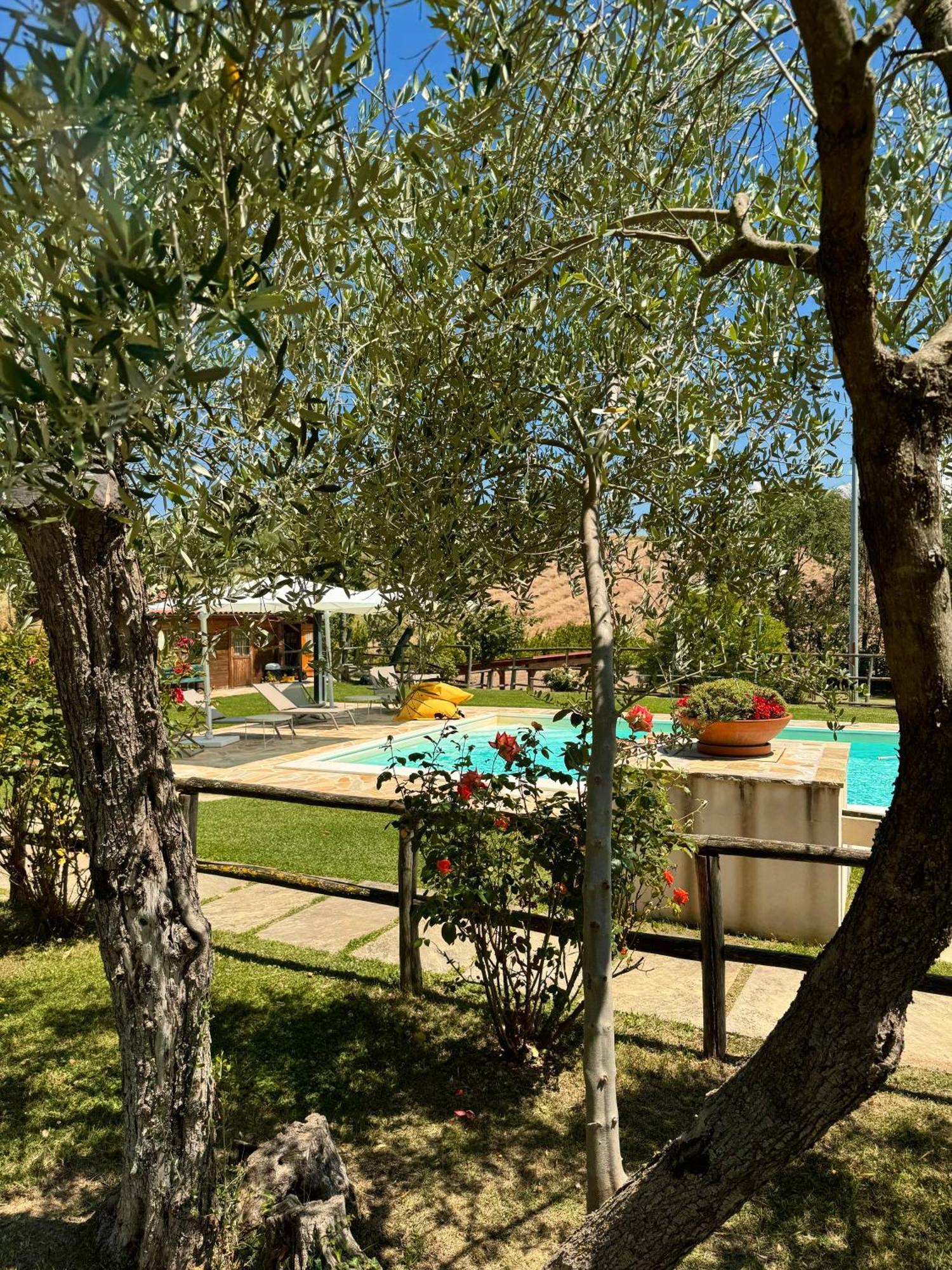 Montenovo Country House Ostra Vetere المظهر الخارجي الصورة