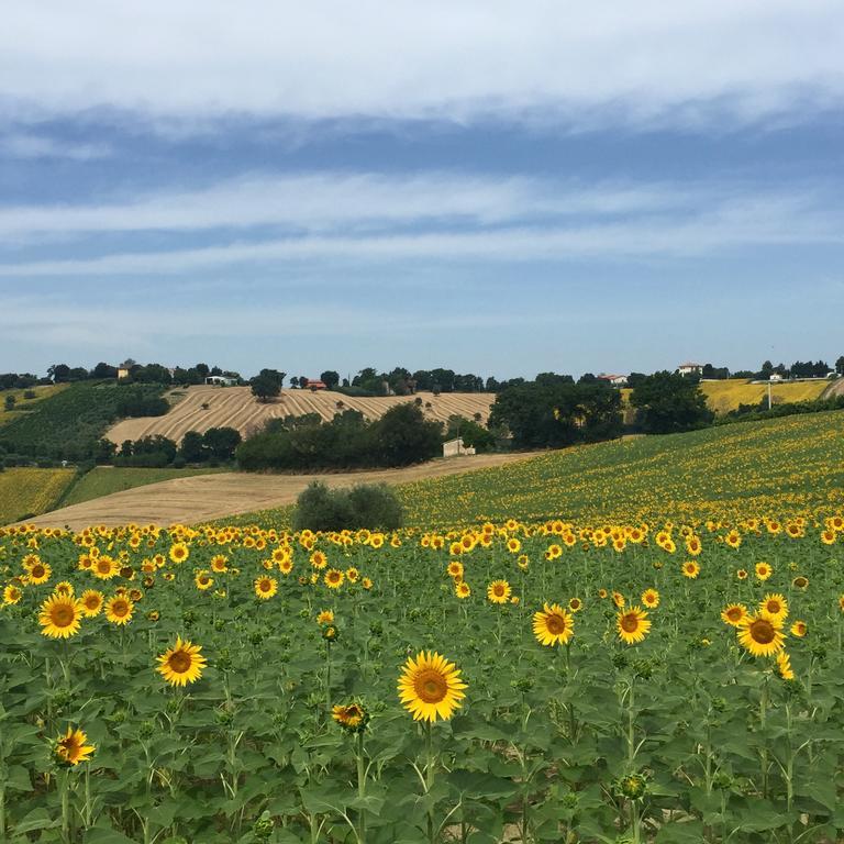 Montenovo Country House Ostra Vetere المظهر الخارجي الصورة